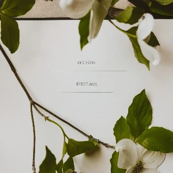Sweet Water Decor Guestbook #4 thumbnail