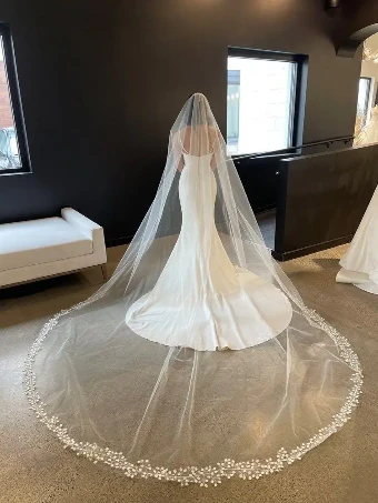 Colby John CJ Carly Veil #0 default thumbnail